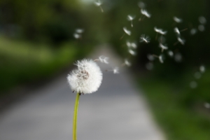 rushing mighty wind