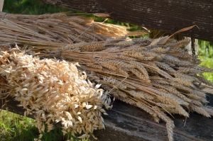 Gleaning from God's Word