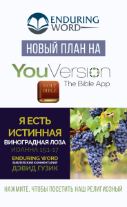 YouVersion John 15 Enduring Word Russian
